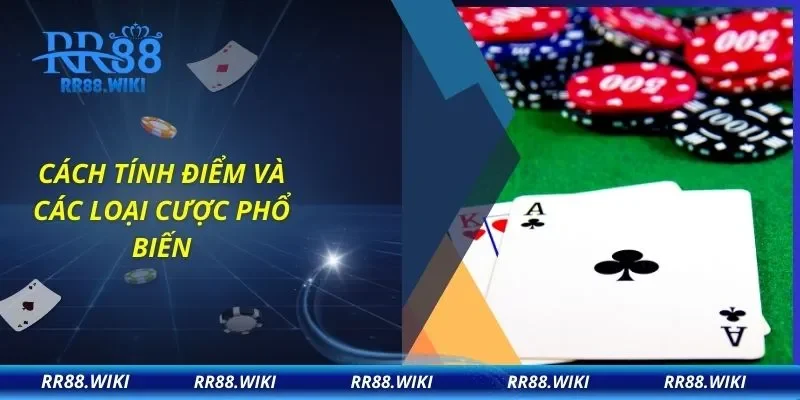 Cách tính điểm và các loại cược phổ biến