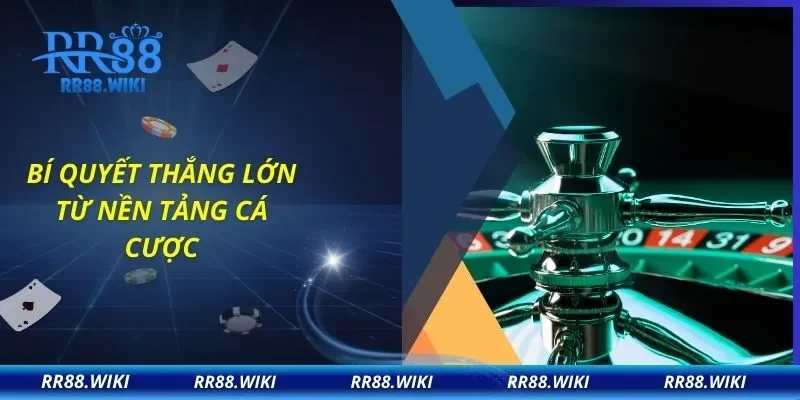 Bí quyết thắng lớn từ nền tảng cá cược