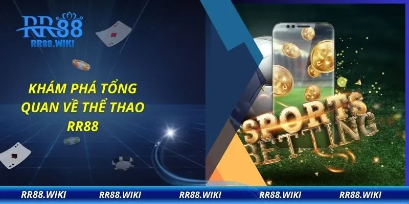 Khám phá tổng quan về thể thao RR88